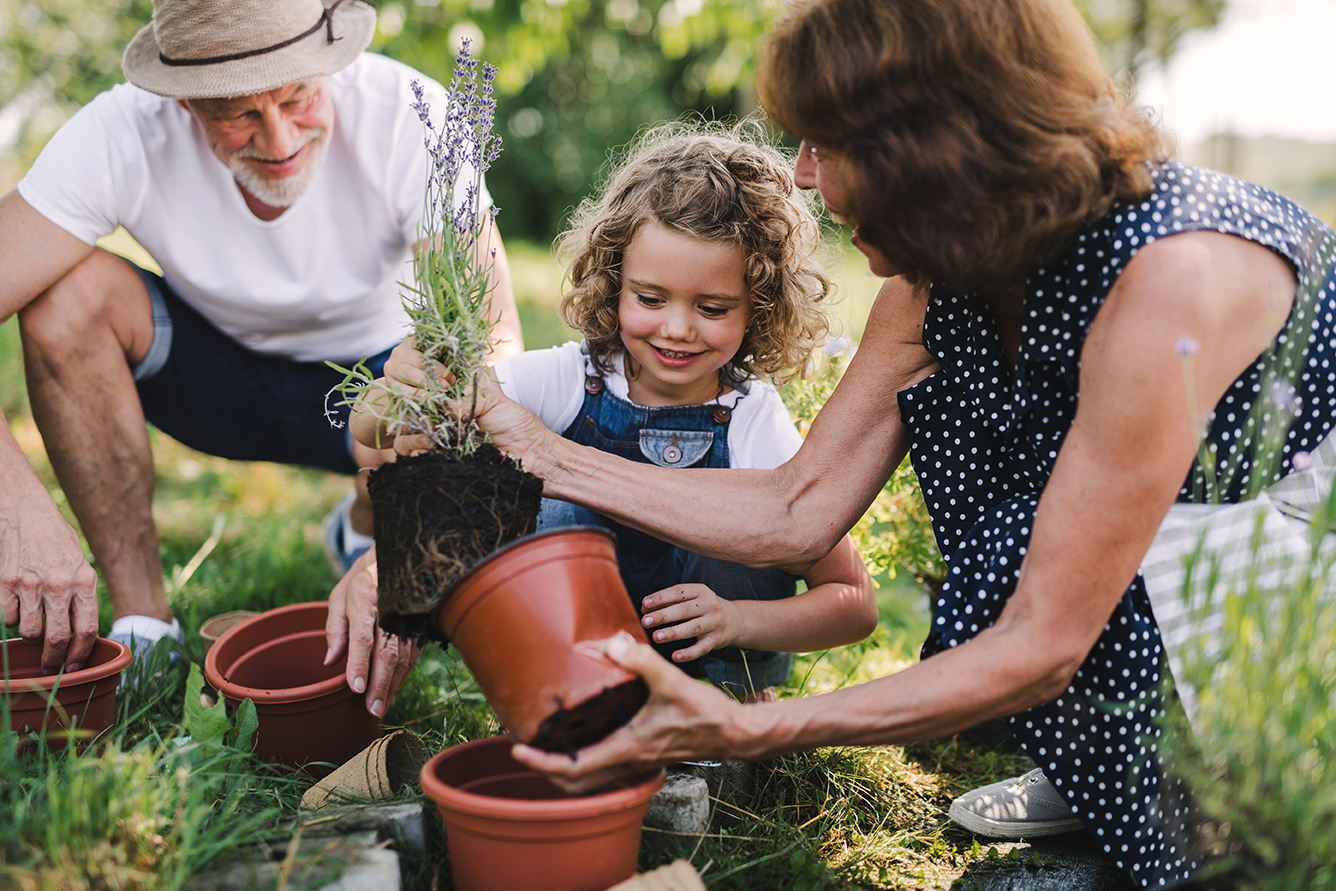 Financial and Estate Planning Management | Valley Wealth